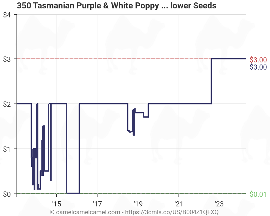 350 TASMANIAN WHITE POPPY Papaver Somniferum Seeds